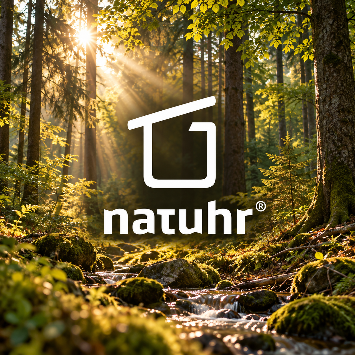 Natuhr logo in a German mixed forest with stream and warm sunlight