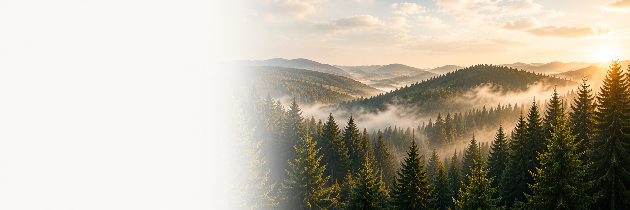 AMS – Clockmaking Tradition from the Black Forest